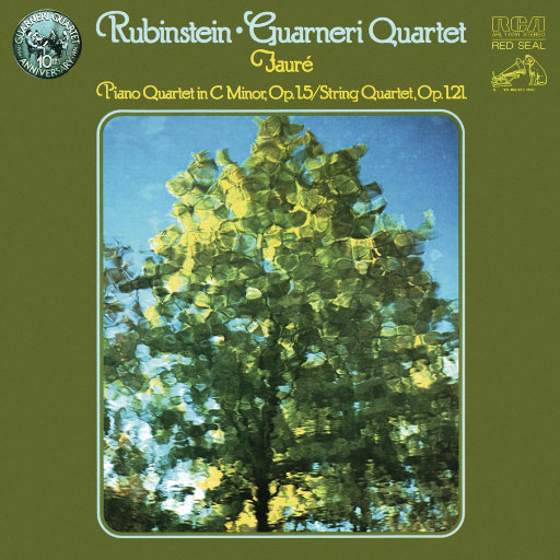 富婆内裤在线视频
